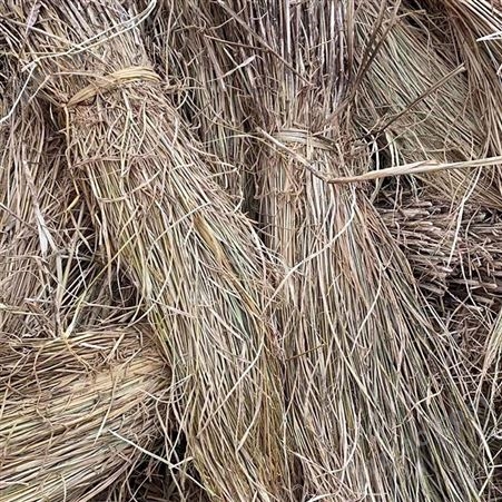 稻草编织工艺品 草质耐磨耐拉韧性强 适各类草编 成吨出售 早春