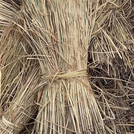 稻草编织工艺品 草质耐磨耐拉韧性强 适各类草编 成吨出售 早春