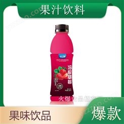 冷榨草莓汁饮料550ml果味果汁饮料果蔬汁商超渠道