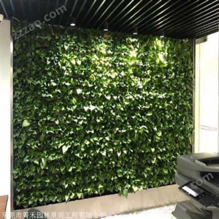 室外绿墙 绿植装饰墙  箐禾园林