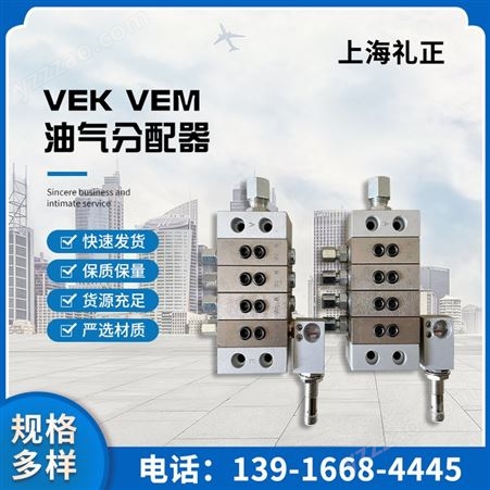 德国REBS油气系统，VEK10/8油气分配器，A0-AF-G1空气过滤器