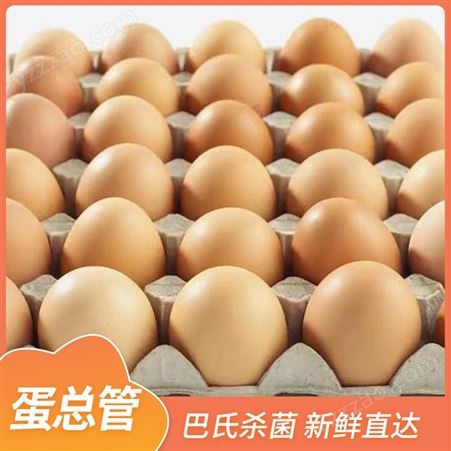 蛋总管 纯粮食农家散养土鸡蛋 新鲜保洁鸡蛋 营养早餐蛋 整箱发货