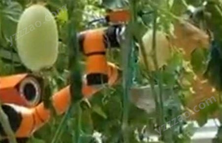 RCZLD-5履带式果蔬采摘机器人48V工作电压低于5%的果实损伤率