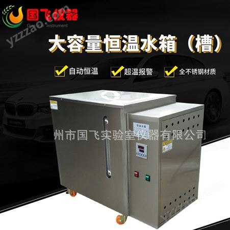 苏州国飞恒温水箱 大容量恒温循环水箱 液位显示 电加热水槽厂家