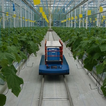 轨道式农业智能运输车200kg高额定负载1200W整机功率
