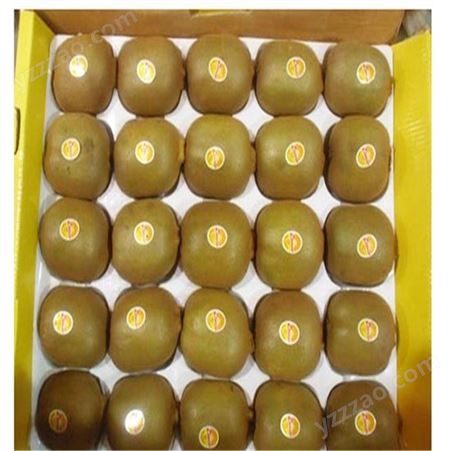 欢乐果园 软枣猕猴桃苗出售 黄心猕猴桃苗 