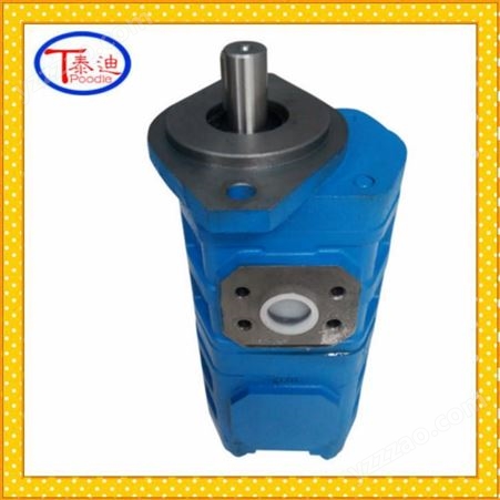 CBGj1025/1010 CBGj1016/1010双联齿轮泵 液压泵