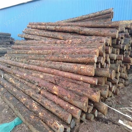 杉木杆 建亿建筑 绿化杆木桩 水利工程打桩木 用于树木支撑