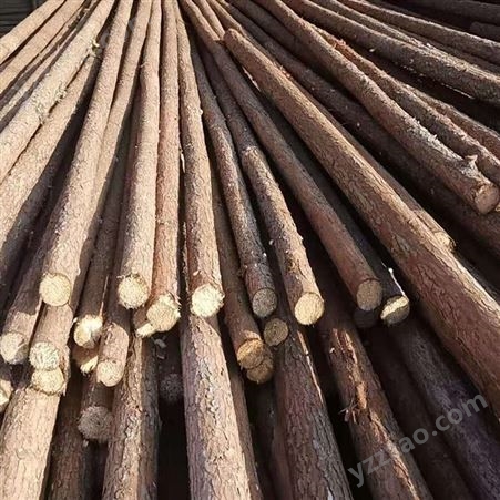 杉木杆 建亿建筑 绿化杆木桩 水利工程打桩木 用于树木支撑