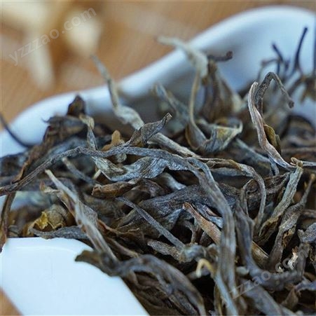 春茶普洱大树茶 普洱茶生茶熟茶 储存于阴凉干燥处