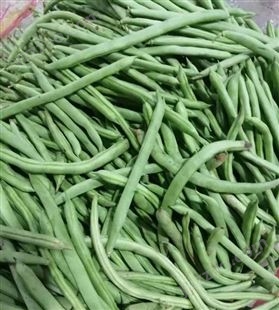 全国蔬菜配送批发 新鲜薄皮青椒辣椒 应季时令蔬菜农家自种