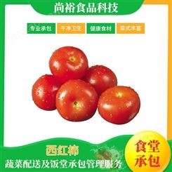 新鲜硬粉西红柿 酸甜可口 蔬菜配送 当天现摘发货 无催红剂