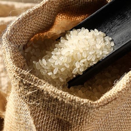 启旺变质珍珠米收购长期高价回收生虫五常大米