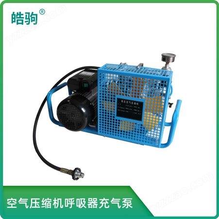 皓驹正压式空气呼吸器充气泵 便携式呼吸气瓶压缩机气泵