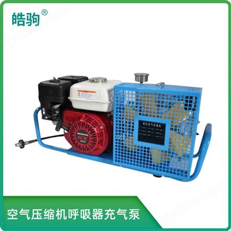 皓驹正压式空气呼吸器充气泵 便携式呼吸气瓶压缩机气泵